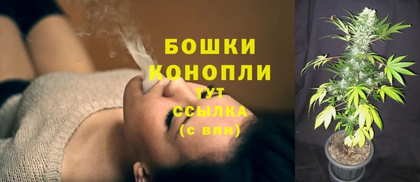 гашик Гусиноозёрск