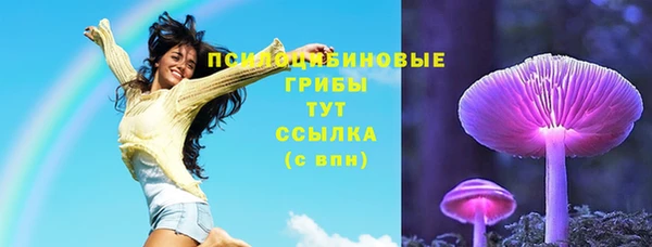 гашик Гусиноозёрск