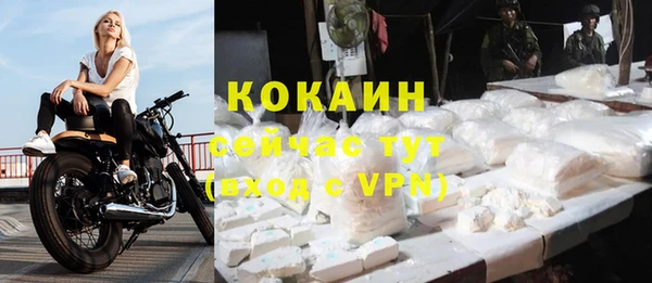а пвп мука Гусь-Хрустальный